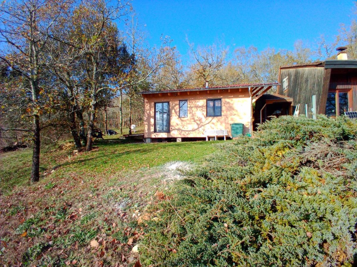Maison Dans Un Ecrin De Verdure Saint-Leon-sur-Vezere Dış mekan fotoğraf